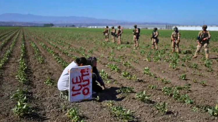 México atiende a connacionales tras redadas de ICE en California