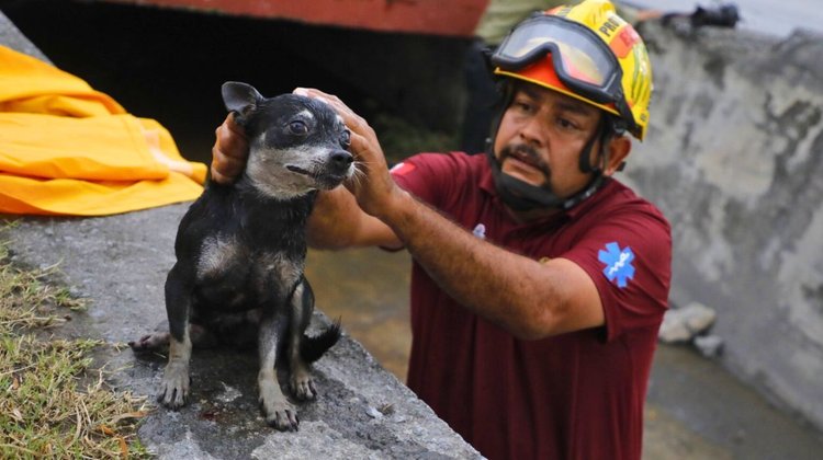 Rescatan a perro de canal pluvial durante lluvias en Escobedo