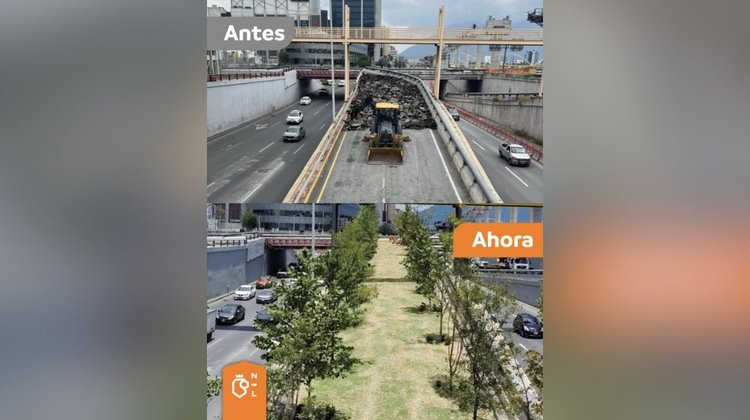 Supera programa ambiental el millón de árboles