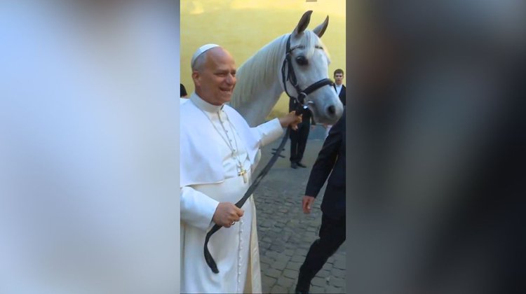 Papa León XIV recibe de regalo un caballo pura sangre árabe