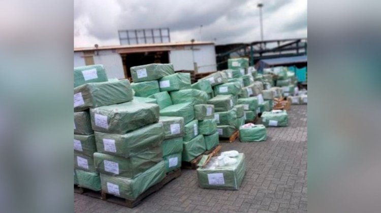 Decomisan más de 11 mil pares de tenis chinos apócrifos