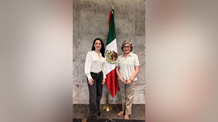 Renuncia Brenda Velázquez a bancada de Morena