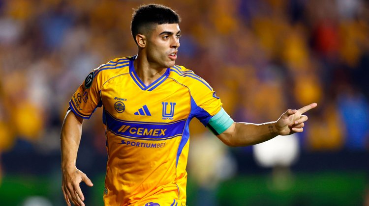 medium_Juan_Brunetta_Tigres_d85f3f7fcd