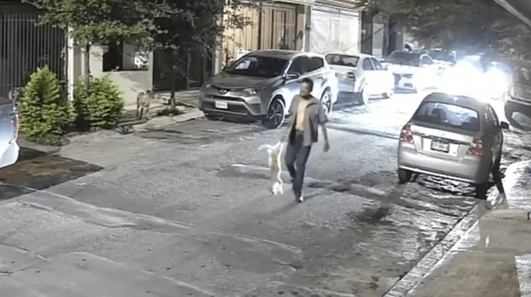 Detienen a hombre por presunto maltrato animal en Santa Catarina
