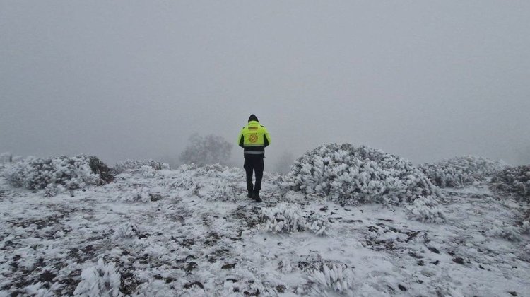 Prepare el abrigo: Traerá tormenta invernal nieve a Nuevo León