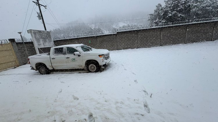 Intensas nevadas pintan de blanco la sierra de Chihuahua