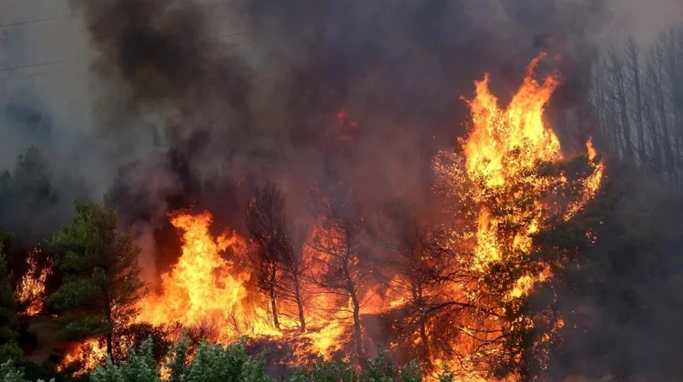 Evacuan a 5mil personas en Atenas por incendio forestal