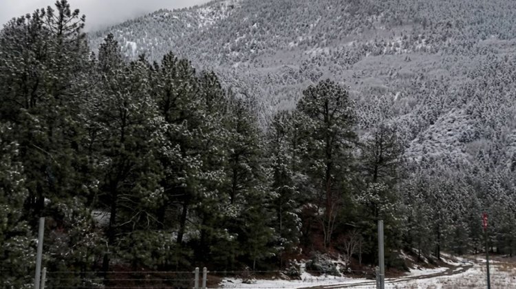 Prevén nevadas en Coahuila para última semana de diciembre