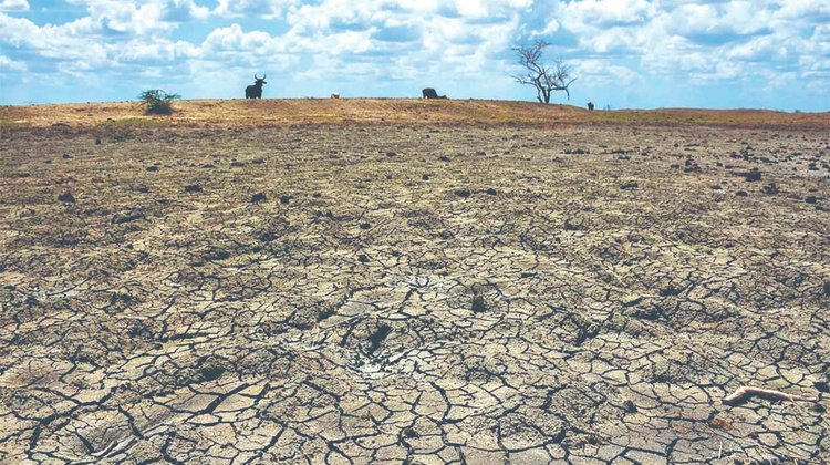 Sufre sequía 51.7% del territorio de Tamaulipas