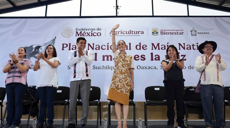 Ofrece Sheinbaum la Rosario Castellanos a rechazados por la UNAM