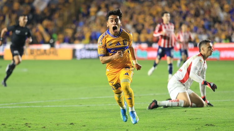 medium_Tigres_Chicha_Sanchez_f6fa507be3
