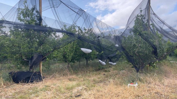 Atiende Gobierno de Coahuila a manzaneros de Arteaga
