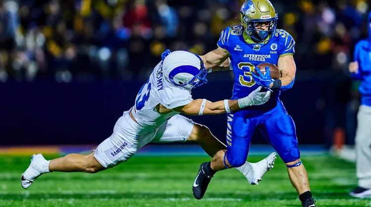 Borregos Salvajes y Auténticos Tigres... ¡Al ataque!