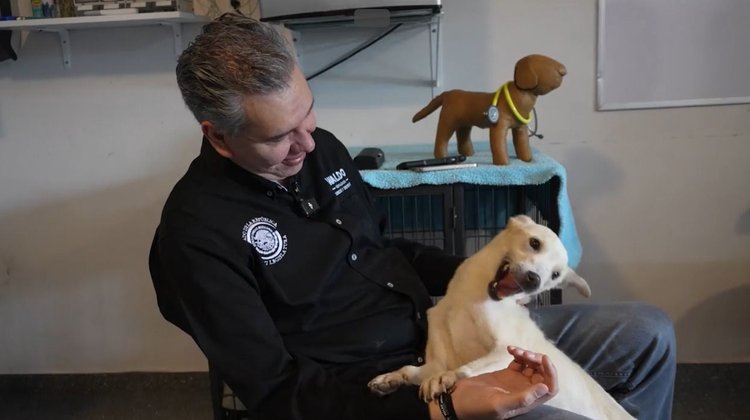 Promueve Waldo Fernández acciones para frenar el maltrato animal