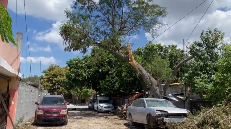 Vecinos de Pedro J. Méndez sin luz por poste caído en Reynosa