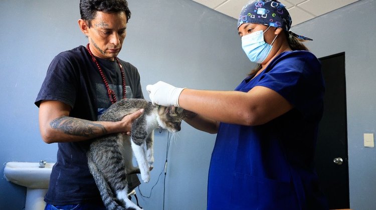Guadalupe ofrece más de 17 mil servicios veterinarios en un año