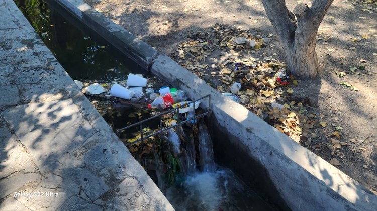 La magia del fin de semana se vuelve basura el lunes en Saltillo