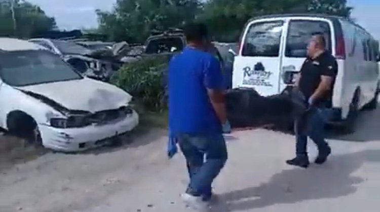 Investigan muerte de hombre atropellado por el tren en Río Bravo