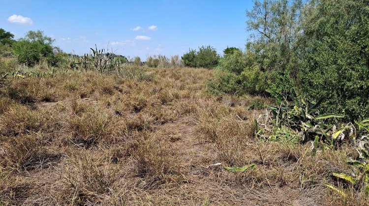 Localizan nuevo cementerio clandestino en ejido de Reynosa
