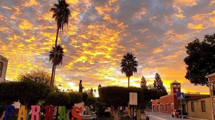 Crece municipio de Parras con nuevos comercios