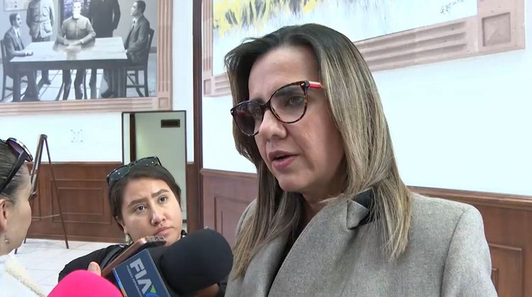 Impulsa diputada nuevas reformas para proteger a mujeres