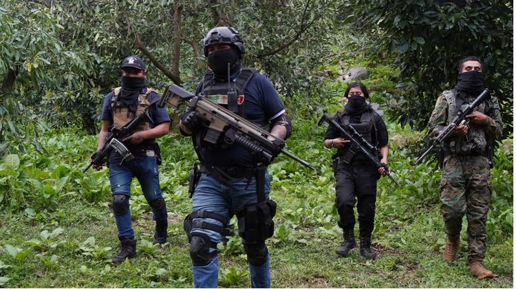 Whats_App_Image_2026_01_06_at_12_29_14_AM_0402d41a26