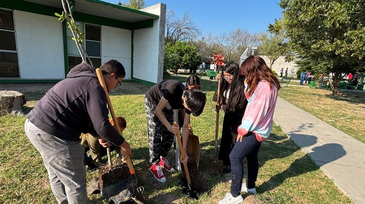 Sembrarán 700 árboles en primer trimestre de 2026