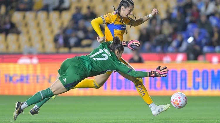 medium_Whats_App_Image_2026_02_05_at_11_10_39_PM_96962bebdc