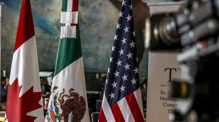 Whats_App_Image_2026_02_11_at_11_58_22_PM_2_981b4b69e5