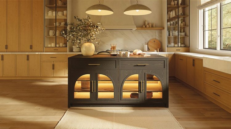 Whats_App_Image_2026_02_19_at_2_52_27_PM_1b65f25252