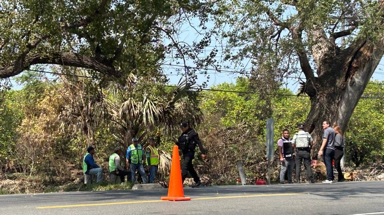 Protección Civil derriba árbol en Plan de Ayala de Güemez