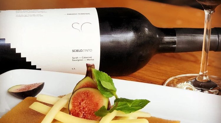 Whats_App_Image_2026_04_21_at_7_11_03_PM_2d65efb3a9