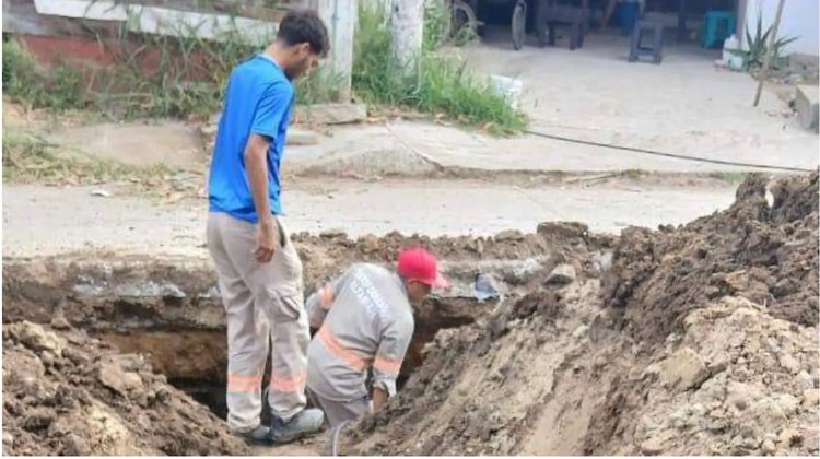 Whats_App_Image_2026_04_25_at_11_42_34_46a1b8705c