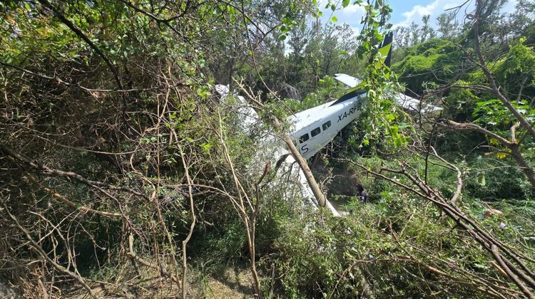 Cae aeronave en Pesquería; movilizan cuerpos de auxilio
