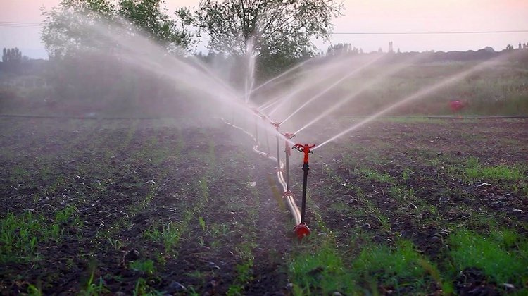 Exigen frenar mal uso de agua agrícola en Nuevo León