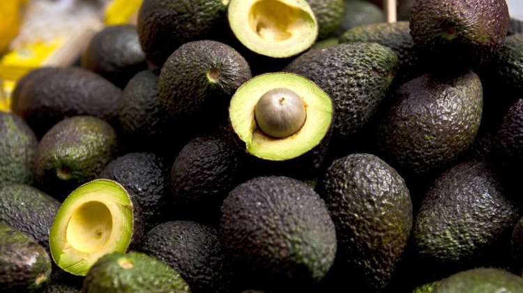 EUA reanuda inspecciones de aguacate en cuatro zonas de Michoacán