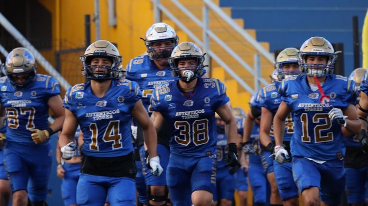 Auténticos Tigres aprueban rumbo a temporada 2024 de ONEFA