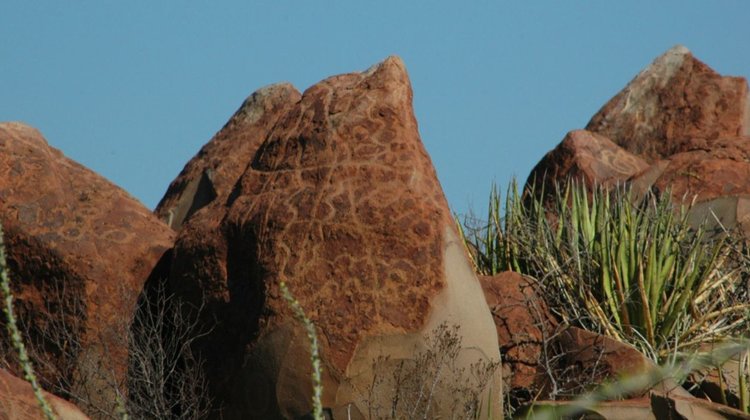 boca_potrerillos_cf2aa53228