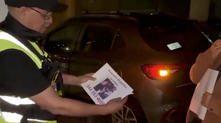 Dedica saltillense su tiempo libre a rescatar perros extraviados