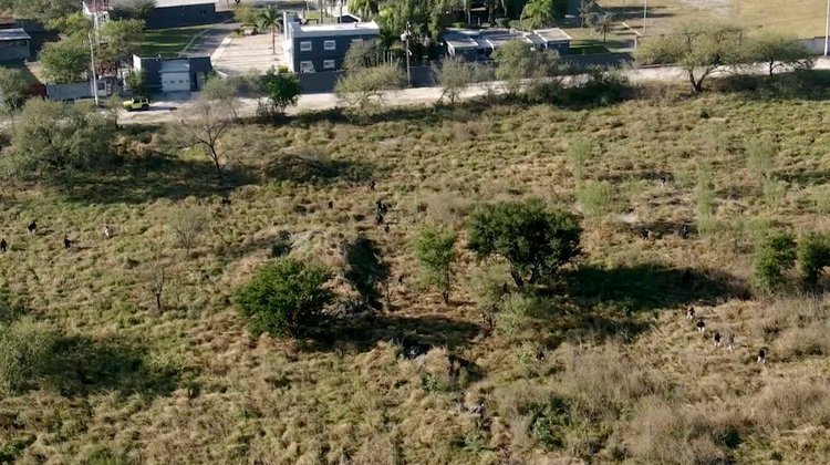 Continúa sin resultado positivo búsqueda de maestro colombiano