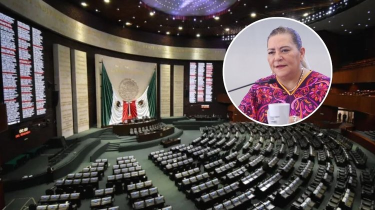 Cámara de Diputados recibe renuncia de Guadalupe Taddei por INE