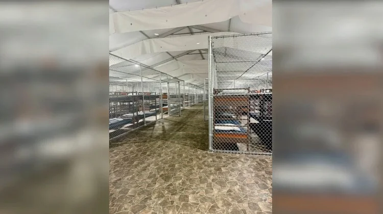 Llegan a Alligator Alcatraz los primeros migrantes