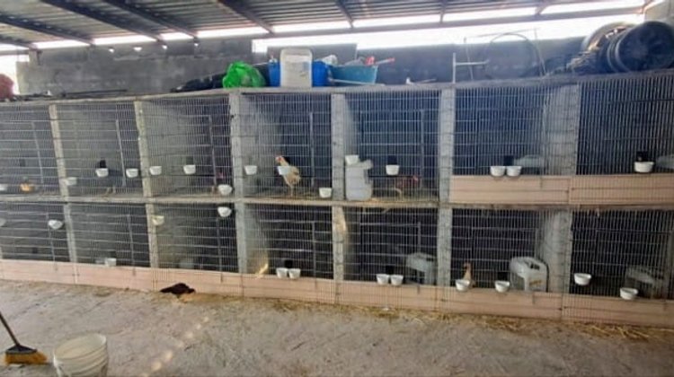 Catean vivienda por robo con violencia en Monterrey