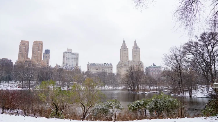 Nueva York no da abasto con la venta ilegal de cannabis