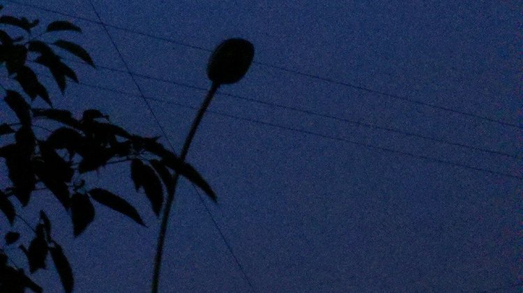 Exigen 5 mil pesos por luz pese a contrato legal con CFE