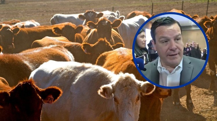 Crean grupo especial para combatir delitos contra ganaderos