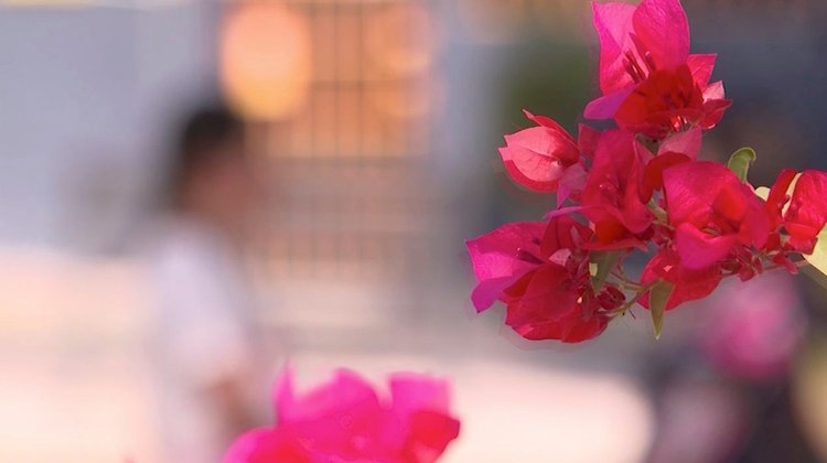 Denuncian abuso a niña de 4 años en Escobedo; acusan a abuelastro