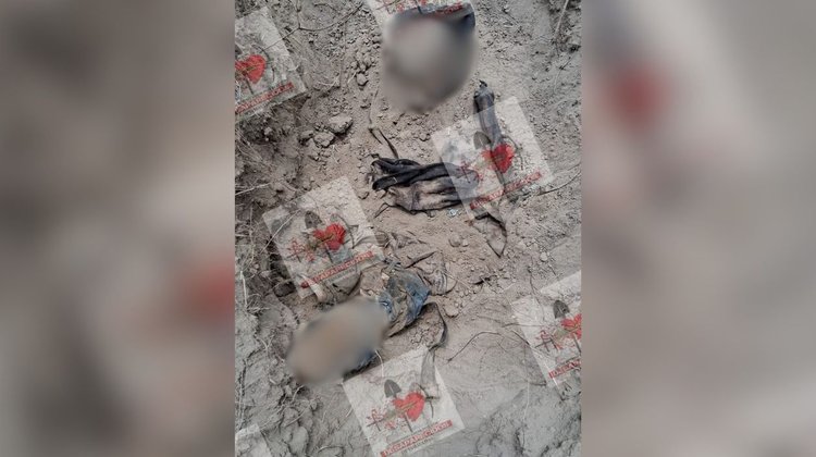 Identifican restos de desaparecido tras difusión de prendas