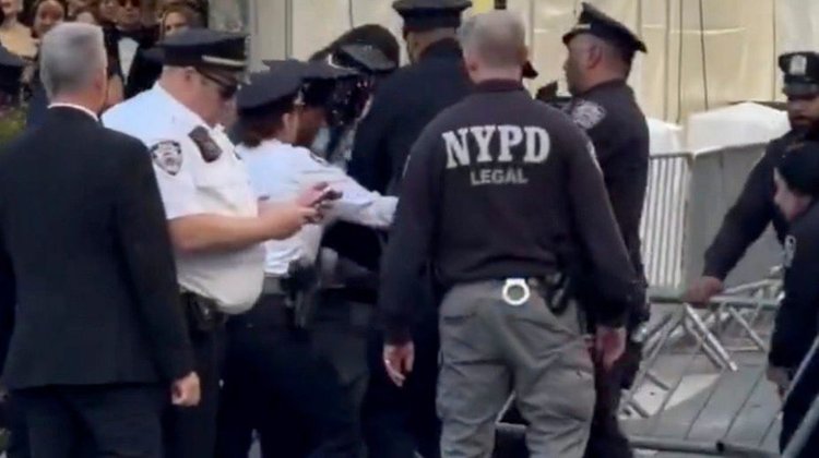 Identifican al detenido por intentar irrumpir en la Met Gala