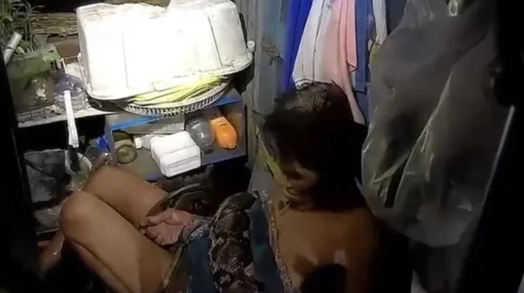 Sobrevive mujer ataque de pitón de 4 metros en Tailandia